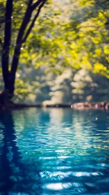 High-bokeh forest pool scene with shallow depth of field rendering