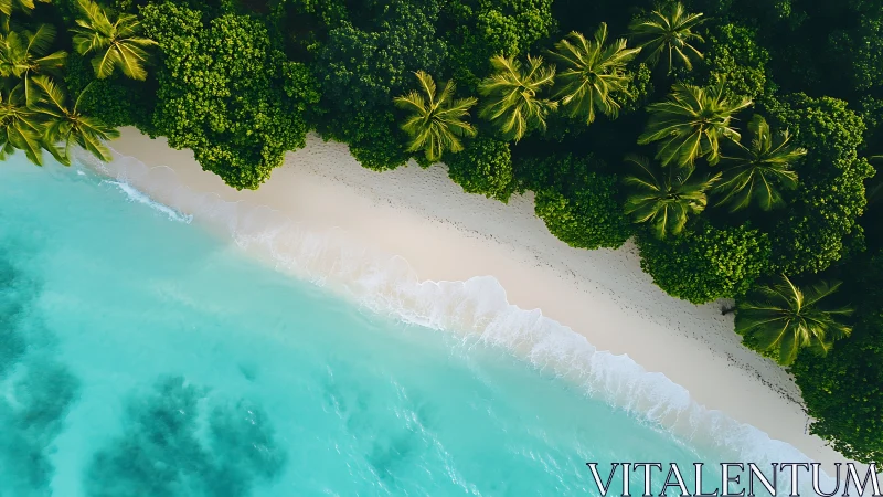 Tropical Island Coastline: Aerial Beach View.