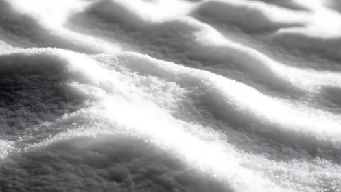 Macro study of rippled snow texture in directional backlight.
