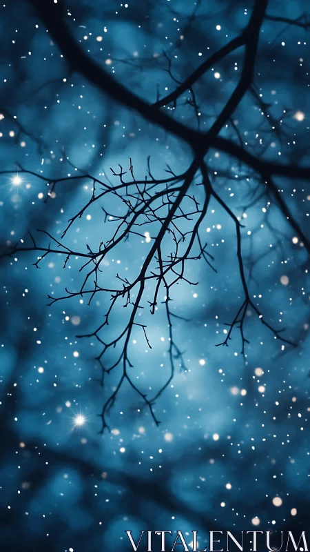 Defocused winter tree branches with shallow depth and snow bokeh