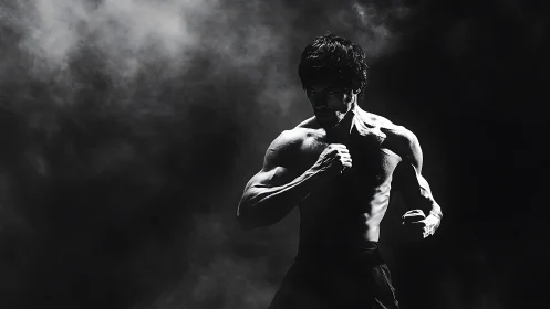 Martial artist holds a powerful fighting stance in shadows