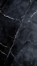 Midnight marble slab with fine white veining detail.