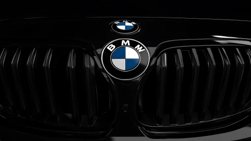 Bold black car grille reveals sleek modern front design