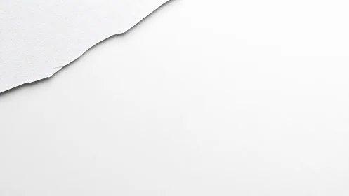 Torn textured paper boundary on high-key minimal plane.
