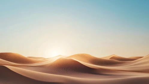 Golden sand dunes under low sun in clear desert sky.