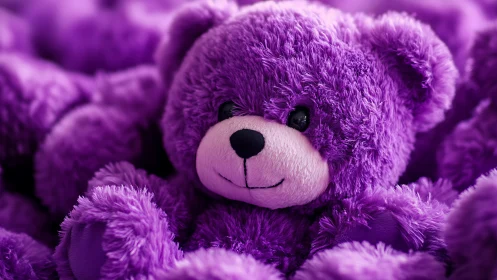 High-saturation close-up of plush purple teddy bear fur texture