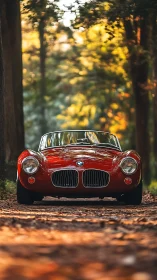 Classic red BMW roadster gleams under warm forest light.