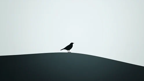 Solitary Bird Perched on a Quiet Hill at Dusk.