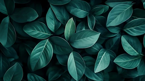 Emerald foliage pattern with soft directional overhead light.