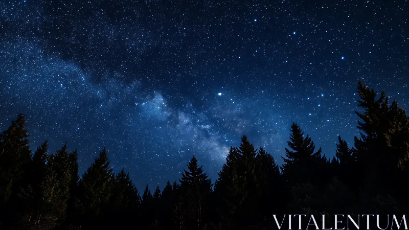 Milky Way galactic band over conifer silhouettes at zenithal night.