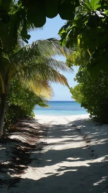 Tropical Gateway to Paradise Beach.