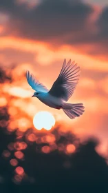 White dove glides before vivid sunset bokeh sky
