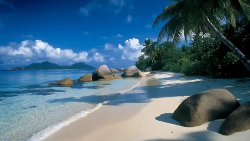 Tropical beach with granite boulders and palm trees