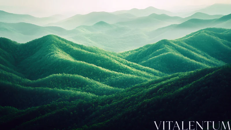 Layered forested mountain ridges under diffuse atmospheric haze.
