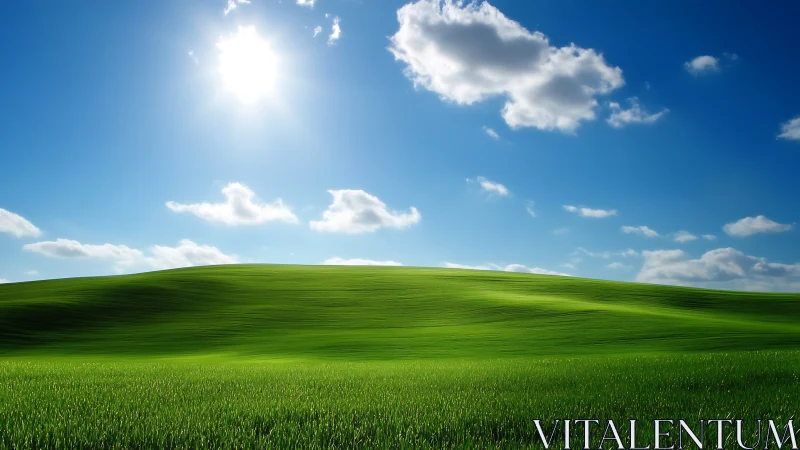 Sunlit grassy hillside under high contrast blue atmospheric sky