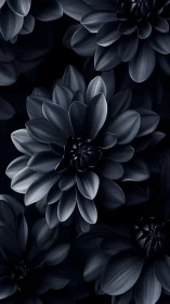 Monochromatic Dahlia Composition: Geometric Petal Architecture Against Void.