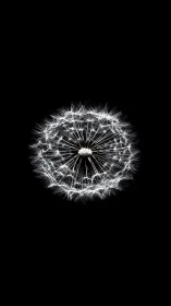 Luminous dandelion seed head glows against deep black