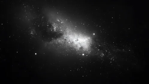 Monochrome deep sky field records dense central star cluster