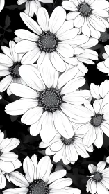Black and White Daisy Composition with Radiating Petals.