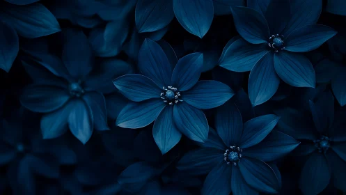 Deep Blue Botanical Composition With Radiant Floral Centers