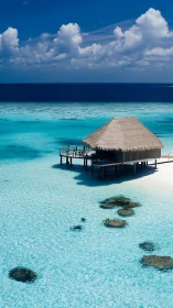 Tropical Overwater Bungalow Resort in Crystalline Lagoon.