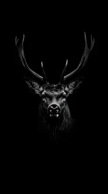 Monochrome stag portrait with high-contrast minimalist rendering.