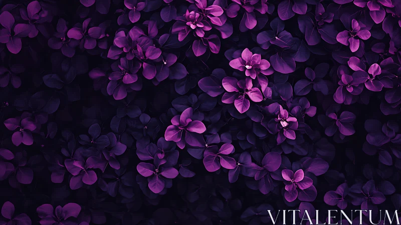 Violet floral canopy glows softly against deep shadowed foliage