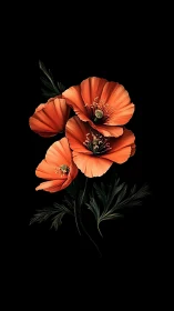 Orange poppies with dark foliage against black background