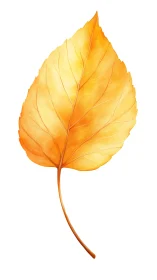 Yellow-orange leaf illustration shows soft gradients and veins