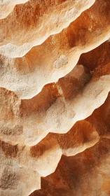 Layered sandstone surface shows eroded ridges and textures