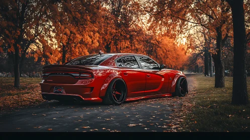 Widebody red Dodge Charger in saturated autumn tree tunnel.