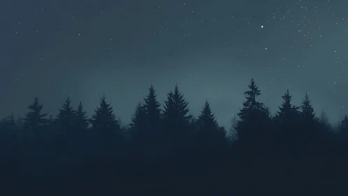 Starry Night Over Evergreen Forest Silhouettes.