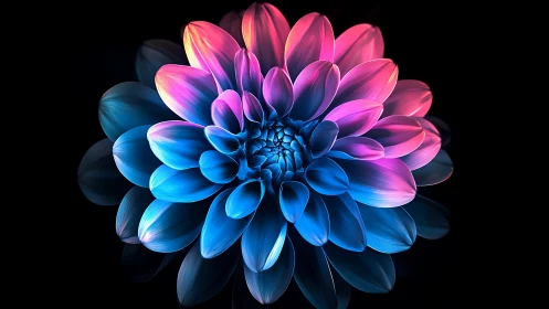 Neon Bloom Spectrum: Electric Dahlia Gradient Dance.