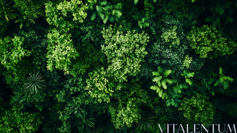 Nature's Lush Canopy: A Verdant Tapestry of Green.