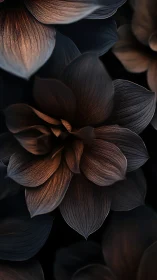 Dark lotus petals with layered structure and warm bronze highlights.