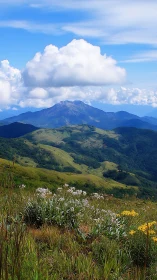 Mountain meadow stretches beneath towering summer cloud