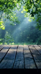 Wooden Deck Overlooking Forest with Sunlit Canopy.