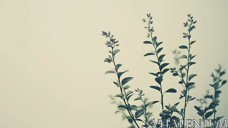 Minimalist botanical silhouette with soft neutral background.