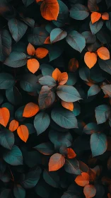 Contrasting teal and orange leaves form a dense foliage layer
