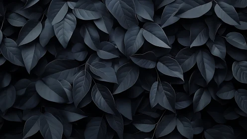 Monochrome foliage tessellation with low-key tonal rendering.
