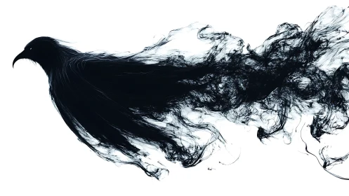 Ink raven dissolving into abstract smoke trails on white.