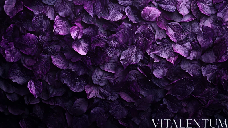 Macro close up of layered violet rose petals texture field