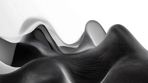 Parametric grayscale waveforms form sculpted topographic ribbons