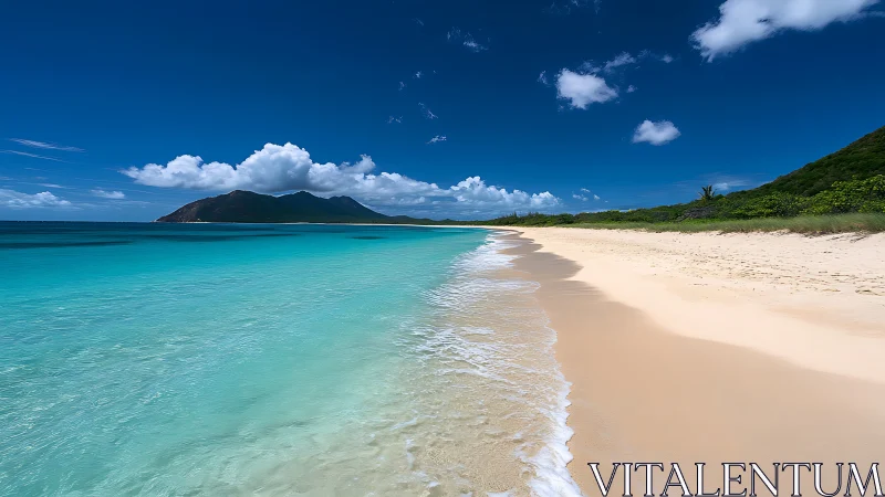 Tranquil tropical beach with turquoise waters and lush greenery.