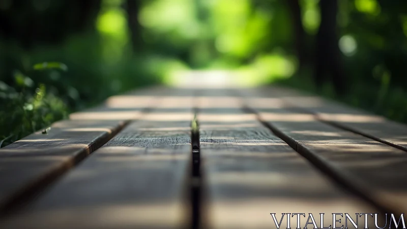 Wooden Path Through Sunlit Garden Canopy.
