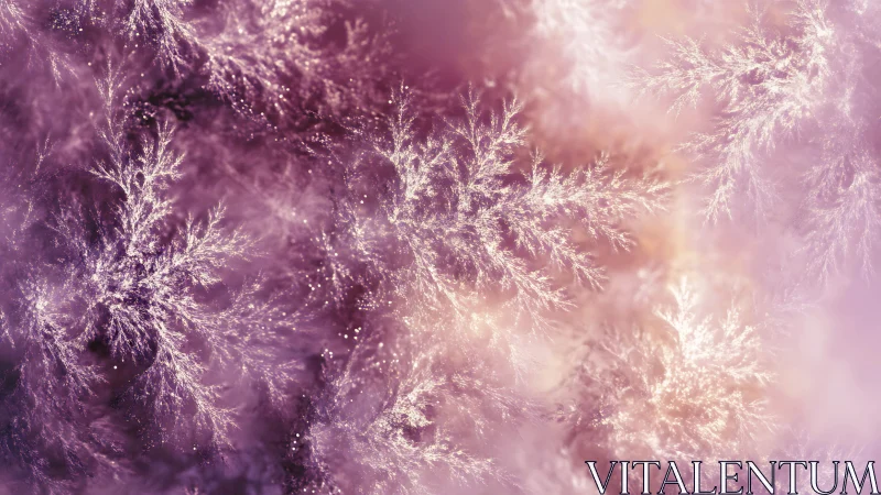 Frosted fractal branches glow in soft rose haze.