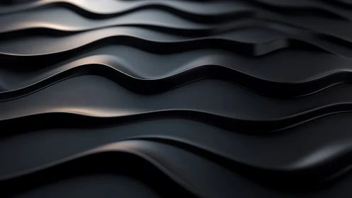 Black sculpted wave surface with smooth abstract contours.