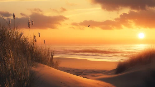 Golden coastal dunes with sunset-lit grasses and calm sea.