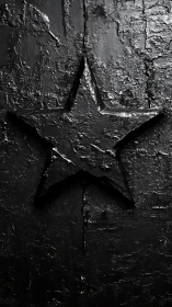 Textured black star emerges from rough monochrome surface.