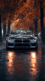 BMW sports car on wet forest road with autumn trees.